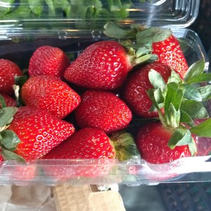 157 Abastecedora Aguilar