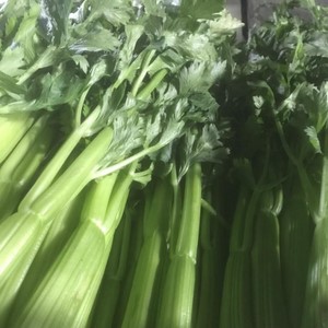 157 Abastecedora Aguilar