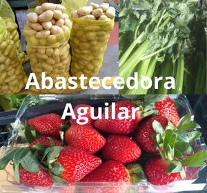Aguilar-abastecedora-colash-300-x-300-px-2