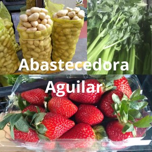 157 Abastecedora Aguilar
