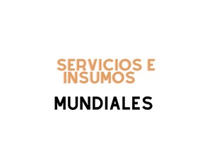 Identificador-servicios-e-insumos-300-x-200-px-1
